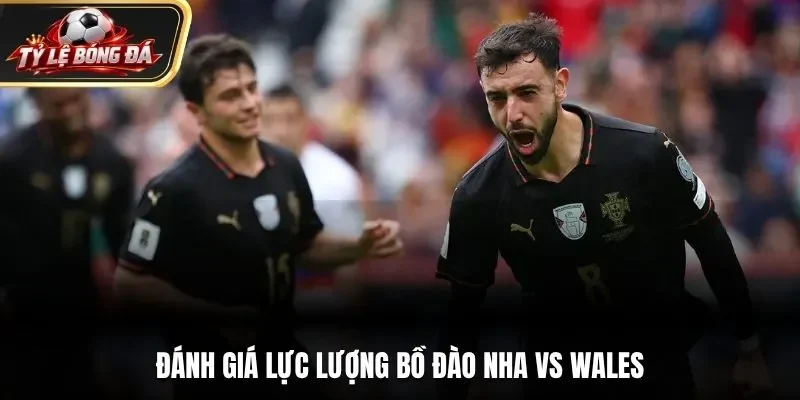 Đánh giá lực lượng Bồ Đào Nha vs Wales