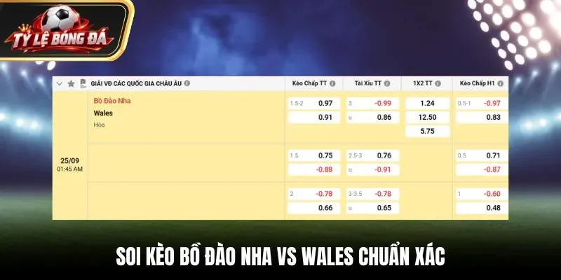 Soi kèo Bồ Đào Nha vs Wales chuẩn xác